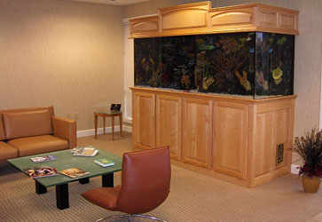 Acrilic Tank Manufacturer, Las Vegas