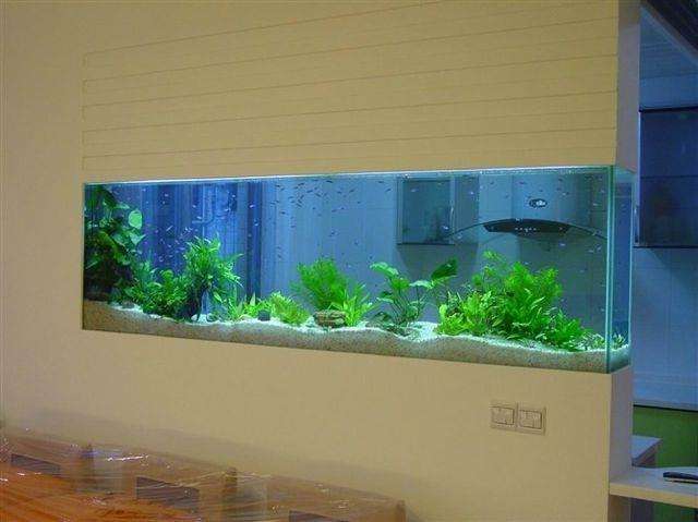 �ǿ�������